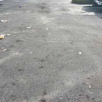 Regency Palms Apartments - Glass, debris and cat/dog feces. - Apartments Near Me - Port Richey, Florida Regency Palms Apartments - Glass, debris and cat/dog feces. - Apartments Near Me - Port Richey, Florida