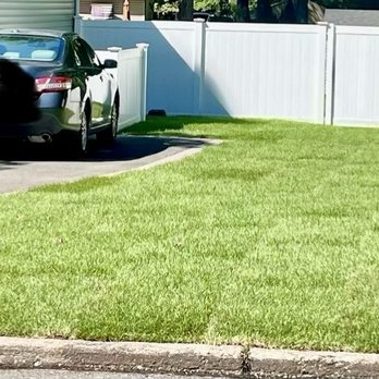 D'Anna Landscaping & Masonry - Right side - Landscaping Near Me