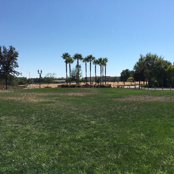 Van Maren Park - View of palm trees at Stock Ranch Road roundabout - Parks Near Me - Citrus Heights, California