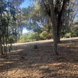 Dog Run