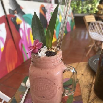 Tropical Kitchen - Vegetarian Near Me - Cabo San Lucas, BCS Tropical Kitchen - Vegetarian Near Me - Cabo San Lucas, BCS