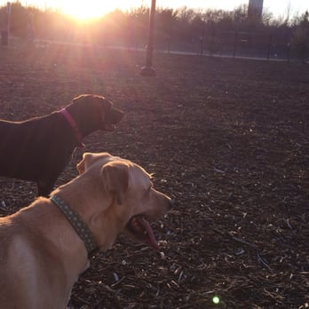 McKinney Dog Park - The girls! - Dog Parks Near Me - McKinney, Texas