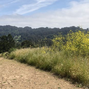 Seaview Trail At Inspiration Point - Seaview Trail - Hiking Near Me - Berkeley, California Seaview Trail At Inspiration Point - Seaview Trail - Hiking Near Me - Berkeley, California