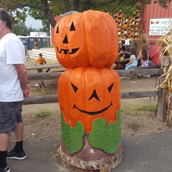 Mapleside Farms - Pumpkin Patches Near Me - Brunswick, Ohio Mapleside Farms - Pumpkin Patches Near Me - Brunswick, Ohio