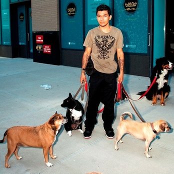 Paws Syndicate - Pet Sitting Near Me Paws Syndicate - Pet Sitting Near Me