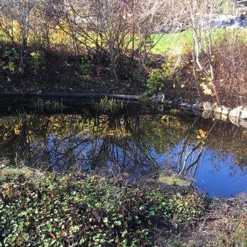 Regional Parks Botanic Garden at Tilden - Pond - Botanical Gardens Near Me - Berkeley, California