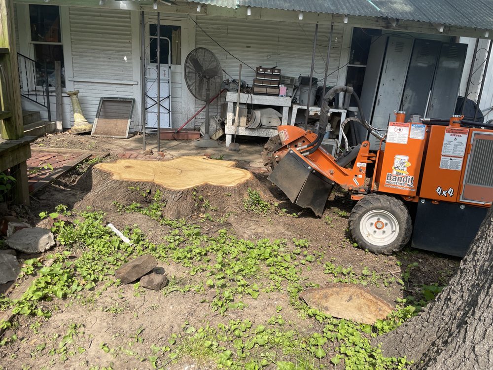 Austin’s Stump Removal - tree service in Tulsa, OK
