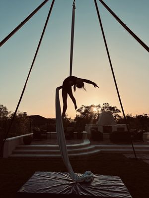 CAL ELITE - Updated February 2026 - 82 Photos & 129 Reviews - 22982