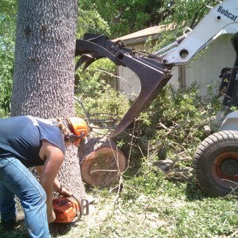 Totally Trees - a man using a chainsaw to cut a tree - Tree Services Near Me - Ludington, Michigan Totally Trees - a man using a chainsaw to cut a tree - Tree Services Near Me - Ludington, Michigan
