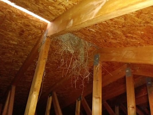 Kent Elliott Roofing