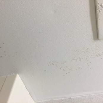 Maron Hotel & Suites - Closer shot of the mold - Hotels Near Me - Danbury, Connecticut Maron Hotel & Suites - Closer shot of the mold - Hotels Near Me - Danbury, Connecticut