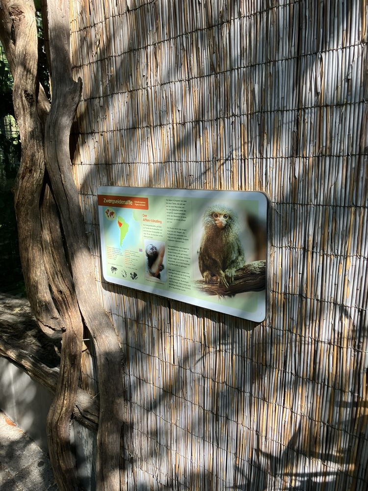 ZOOLOGISCHER GARTEN KÖLN Updated April 2025 1322 Photos & 179