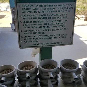 Ostrichland USA - Ostrichland feeding signs - Attraction Farms Near Me - Solvang, California Ostrichland USA - Ostrichland feeding signs - Attraction Farms Near Me - Solvang, California