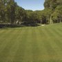Photo of Expert Lawn Care