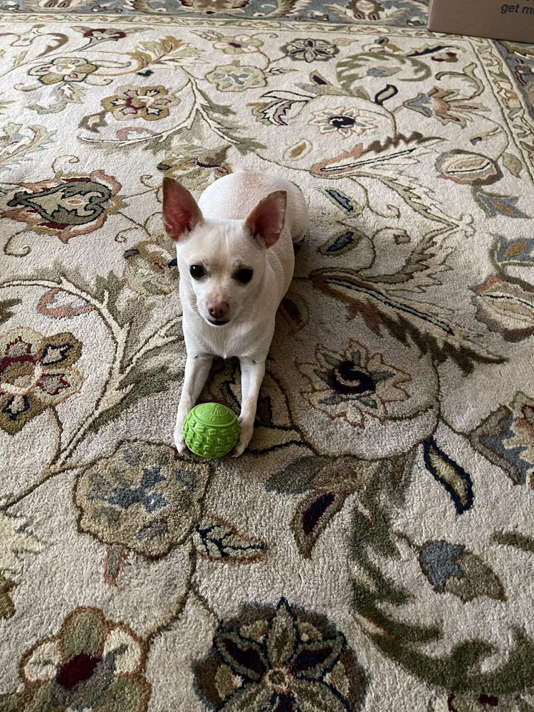 DOCUSTAMP MOBILE NOTARY Apple Valley, California Notaries Phone