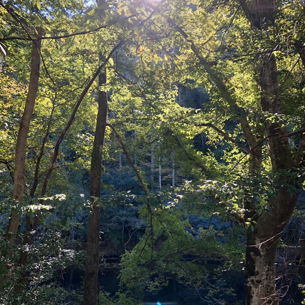 Pigeon River Campground - Mid-morning fall sun over the river from the cabin porch. - RV Parks Near Me - Hartford, Tennessee Pigeon River Campground - Mid-morning fall sun over the river from the cabin porch. - RV Parks Near Me - Hartford, Tennessee