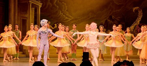 Metropolitan Opera House by null