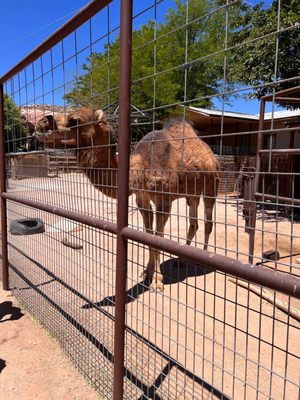 Hole 'N' The Rock by null