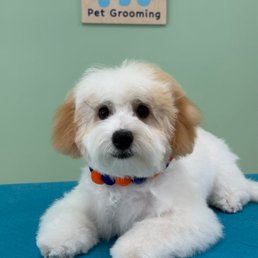 Jax first haircut is perfection!! Jax first haircut is perfection!!