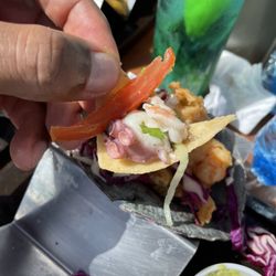 Mandala - Mexican ceviche