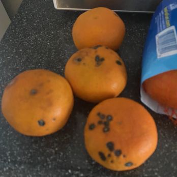 Meijer - A rotting orange, with rotten black and white spots. - Grocery Near Me - Cincinnati, Ohio Meijer - A rotting orange, with rotten black and white spots. - Grocery Near Me - Cincinnati, Ohio