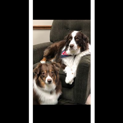 Maryland Plumbing & Heating Logo