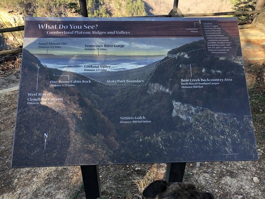 Cloudland Canyon State Park by null