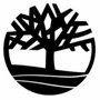 Photo of Art of Arborists