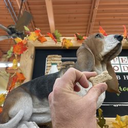 Everybody's Whole Foods - Mascot ?