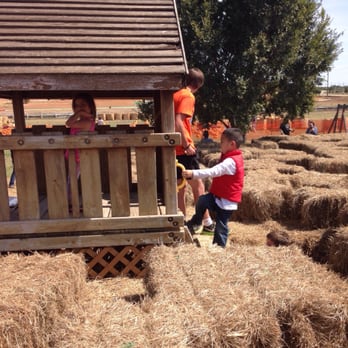 The Flower Mound Pumpkin Patch - Pretty awesome maze for the kiddos. - Pumpkin Patches Near Me - Flower Mound, Texas