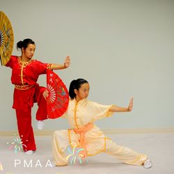 Professional Martial Arts Academy