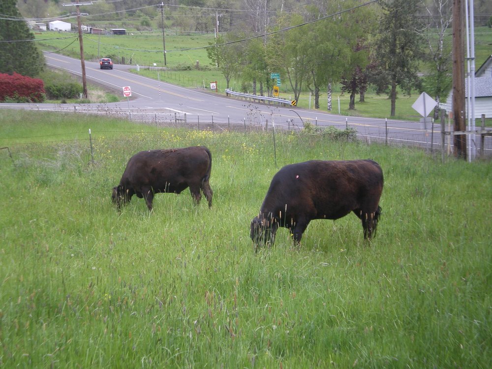 SOUTH HILL FARM LEBANON, Oregon Phone Number Yelp