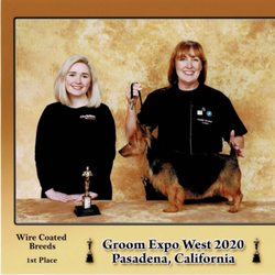 Julie's Mobile Pet Spa - Julie's secondd first place win