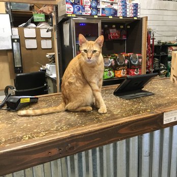 Viking Feed - Pet Stores Near Me - Poulsbo, Washington Viking Feed - Pet Stores Near Me - Poulsbo, Washington