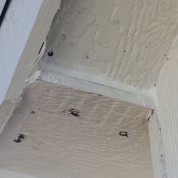 Tuff Shed Pensacola - They have caulked some of the big gaps about an inch wide - Building Supplies Near Me - Pensacola, Florida Tuff Shed Pensacola - They have caulked some of the big gaps about an inch wide - Building Supplies Near Me - Pensacola, Florida