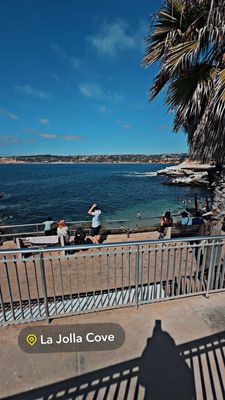 Lifeguard La Jolla Cove by null