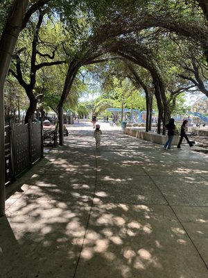 Yanaguana Garden at Hemisfair by null