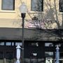 Photo of Stogies Downtown