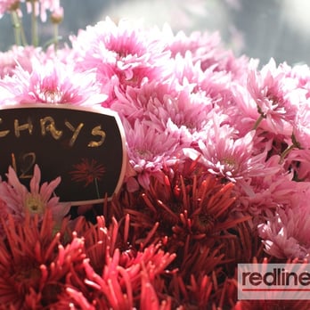 Charles Street Milkbar - Ro & Co flowers - come visit her Pop Up store at the Charles Street Milkbar - Coffee & Tea Near Me - Abbotsford, VIC Charles Street Milkbar - Ro & Co flowers - come visit her Pop Up store at the Charles Street Milkbar - Coffee & Tea Near Me - Abbotsford, VIC