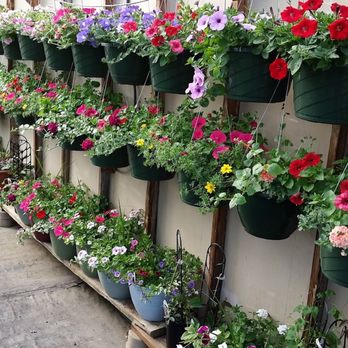 Barefoot Gardens - Florists Near Me - McGregor, Minnesota Barefoot Gardens - Florists Near Me - McGregor, Minnesota