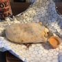 Photo of Bad-Ass Breakfast Burritos