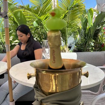 Coco Maya - Yodie turning up - Caribbean Near Me - San Diego, California Coco Maya - Yodie turning up - Caribbean Near Me - San Diego, California