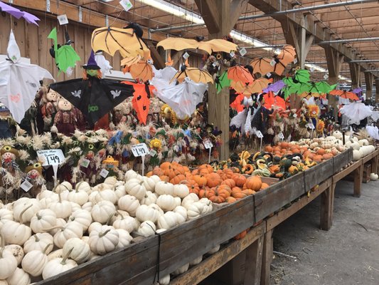 Calareso's Farm Stand & Garden Center by null