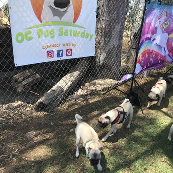 Orange Dog Park - Dog Parks Near Me - Orange, California Orange Dog Park - Dog Parks Near Me - Orange, California