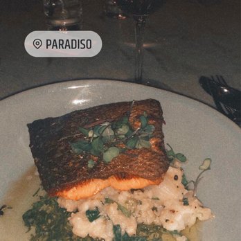 Paradiso - Seared salmon - Bars Near Me - Dallas, Texas