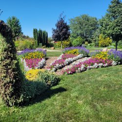 Cedar Valley Arboretum & Botanic Gardens - Living sculpture of a peacock.