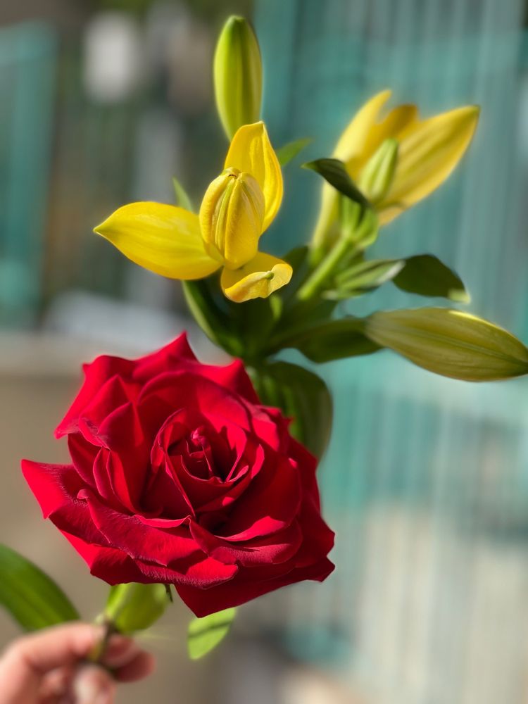 LILY FLORIST Updated October 2024 112 Photos & 45 Reviews 500 W