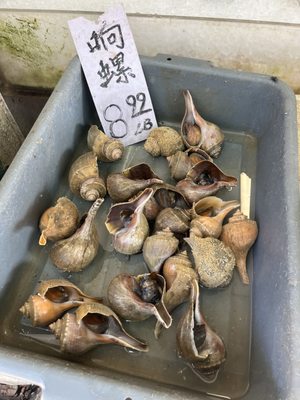 M. P. Seafood Market by null