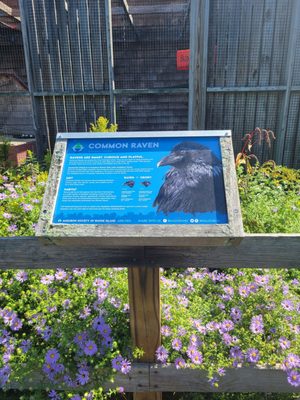 Audubon Society of Rhode Island Nature Center and Aquarium by null