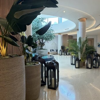Opal Grand Resort & Spa - Hotels Near Me - Delray Beach, Florida Opal Grand Resort & Spa - Hotels Near Me - Delray Beach, Florida